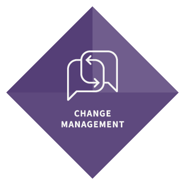 Change Management Graphic in diamond shape